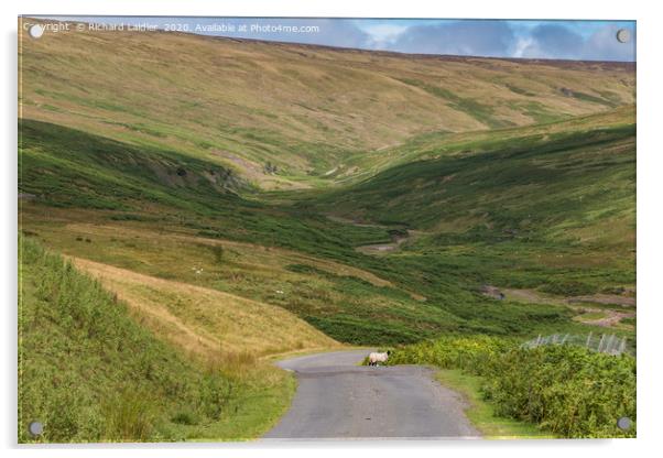 Sunshine and Shadows, Hudes Hope, Teesdale Acrylic by Richard Laidler