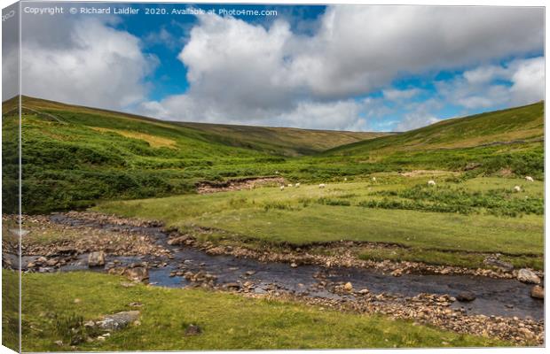 Hudeshope Bright Spot, Upper Teesdale Canvas Print by Richard Laidler