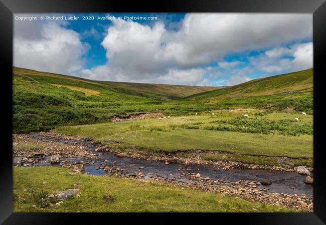 Hudeshope Bright Spot, Upper Teesdale Framed Print by Richard Laidler