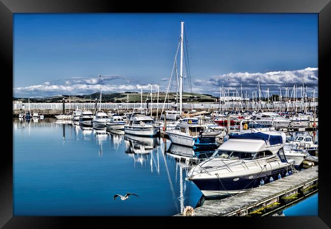 Troon Marina Framed Print by Valerie Paterson