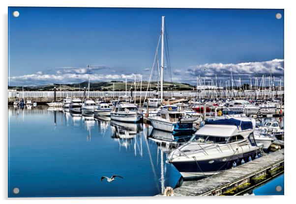 Troon Marina Acrylic by Valerie Paterson