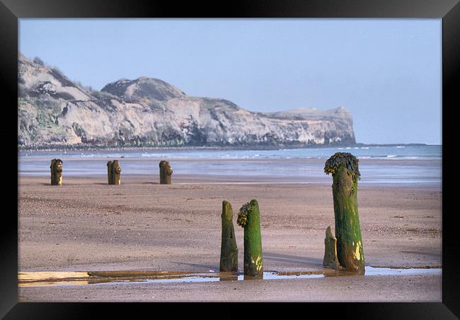 Old Groynes Framed Print by Sandi-Cockayne ADPS