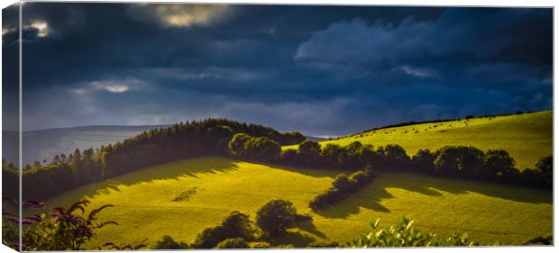Evening on the Brendon Hills Canvas Print by Mike Lanning