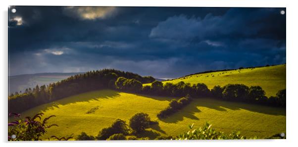 Evening on the Brendon Hills Acrylic by Mike Lanning