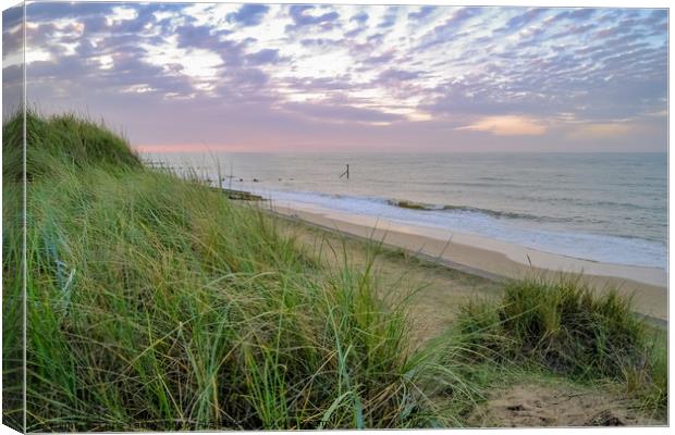 Cart Gap beach in Norfolk from the dunes Canvas Print by Chris Yaxley