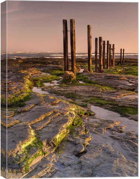 Wooden Posts Canvas Print by Ray Pritchard