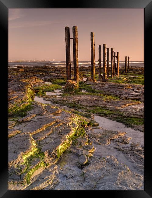 Wooden Posts Framed Print by Ray Pritchard