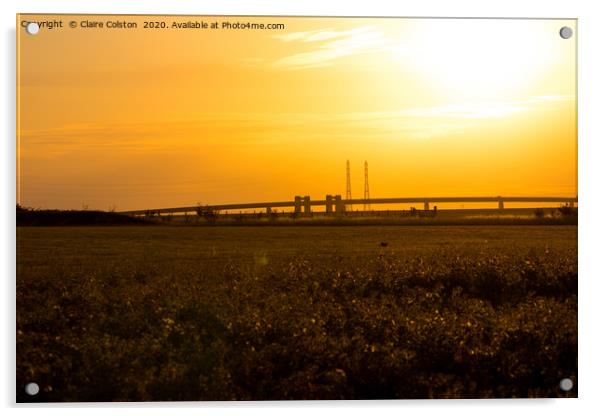 Isle of Sheppey Bridge Acrylic by Claire Colston
