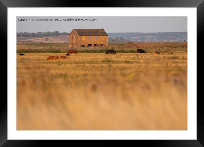 School house Swale estuary Framed Mounted Print by Claire Colston