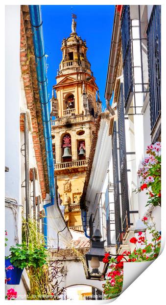 Flower Street Torre del Aliminar Tower Mezquita Co Print by William Perry