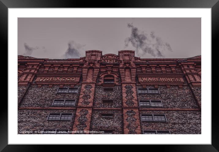 Liverpool Tobacco Warehouse Framed Mounted Print by Liam Neon
