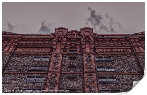 Liverpool Tobacco Warehouse Print by Liam Neon