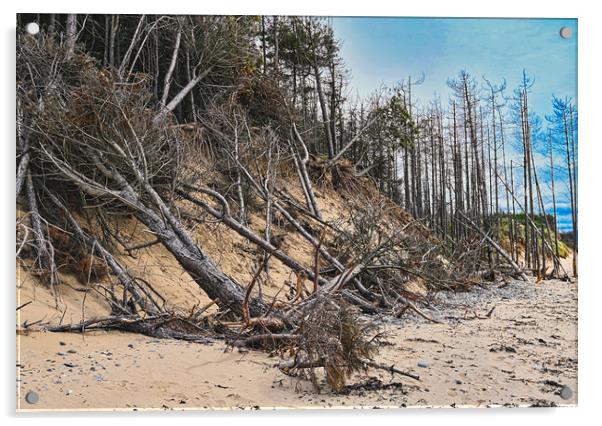 Newborough beach coastal erosion Acrylic by Kevin Smith