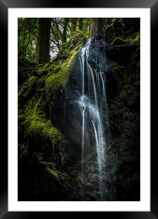 In harmony Framed Mounted Print by Steve Taylor
