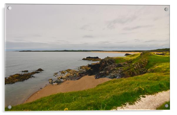 Ynys Llandwyn Anglesey Acrylic by Kevin Smith