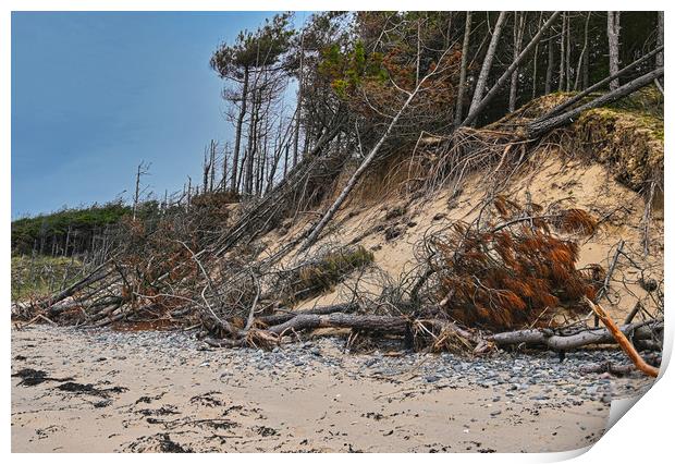 Newborough beach coastal erosion Print by Kevin Smith