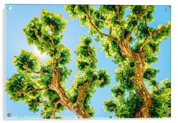 Exotic Tree Vegetation, Green Leaves, Leafy Green Acrylic by Radu Bercan