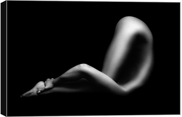 Nude woman bodyscape 64 Canvas Print by Johan Swanepoel