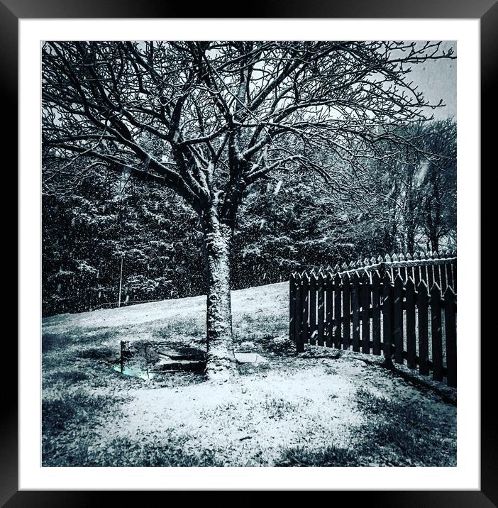 The snowy Tree Framed Mounted Print by Paddy 