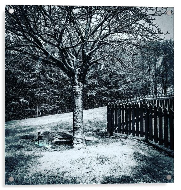 The snowy Tree Acrylic by Paddy 