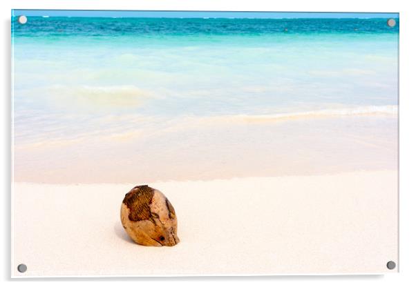 Coconut on caribbean white sand with turquoise sea Acrylic by Nicolas Boivin