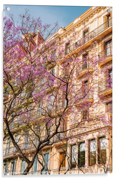 Pink Flower Tree, Barcelona City Spring Trees Acrylic by Radu Bercan