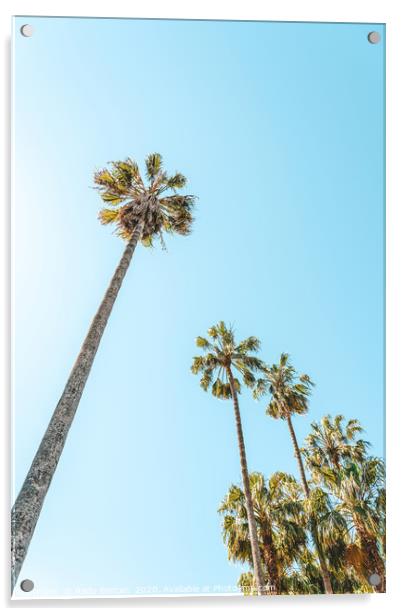 Tropical Palm Trees, Palm Tree Leaf, Summer Vibes Acrylic by Radu Bercan