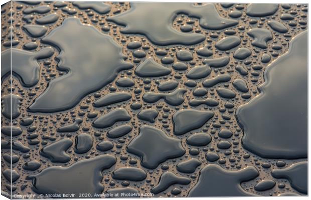 Water drops Canvas Print by Nicolas Boivin