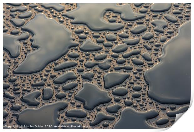 Water drops Print by Nicolas Boivin