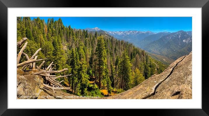 Sequoia National Park Framed Mounted Print by Nicolas Boivin