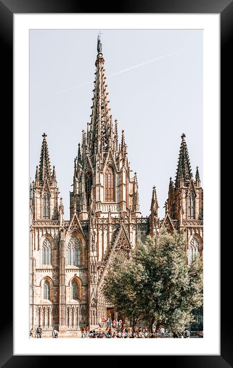 Barcelona Cathedral, Gothic Cathedral Holy Church Framed Mounted Print by Radu Bercan