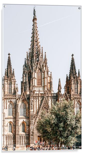 Barcelona Cathedral, Gothic Cathedral Holy Church Acrylic by Radu Bercan