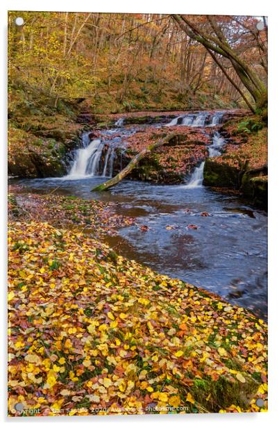 Afon Nedd Fechan, Brecon Beacons Acrylic by Dan Santillo