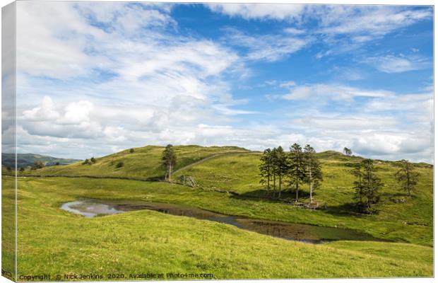 School Knott Tarn above Windermere Lake District Canvas Print by Nick Jenkins