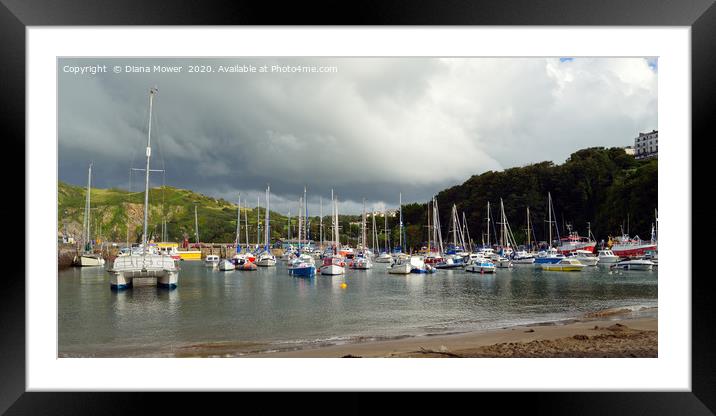 Ilfracombe Harbour Devon Framed Mounted Print by Diana Mower