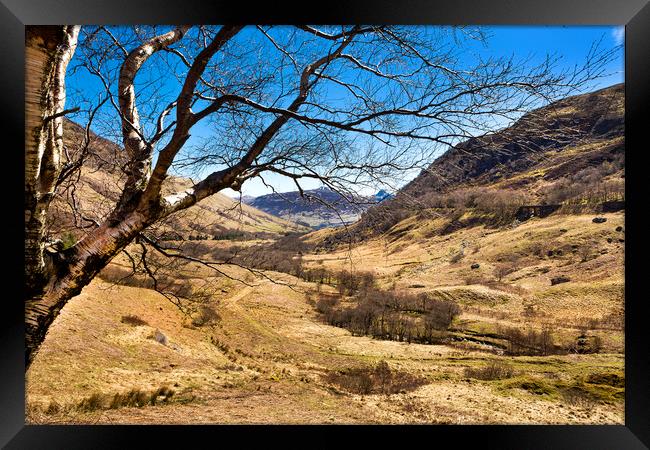 Highland Valley Framed Print by David Hare