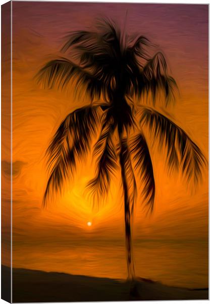 Caribbean sunset Canvas Print by Jason Wells
