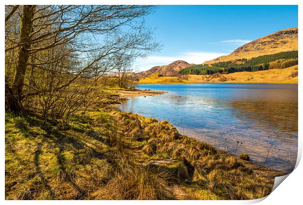 The shores of Loch Earn Print by David Hare