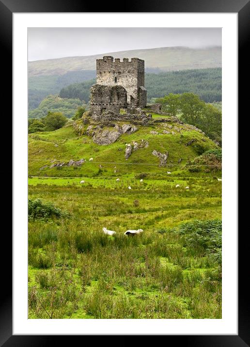 dolwyddelan  castle in Snowdonia,  wales  Framed Mounted Print by Pere Sanz