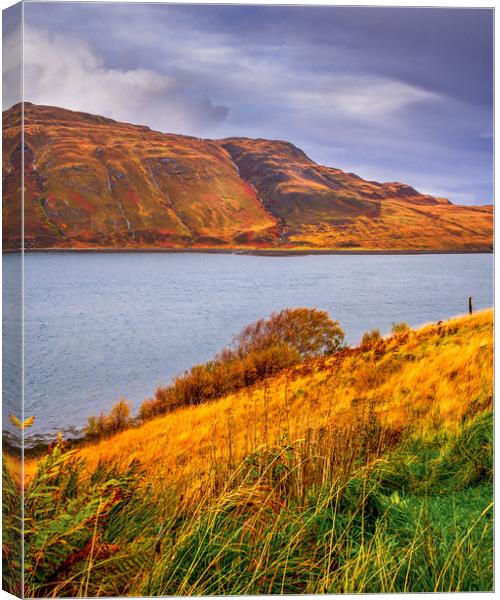 Skye View, Scotland, UK Canvas Print by Mark Llewellyn