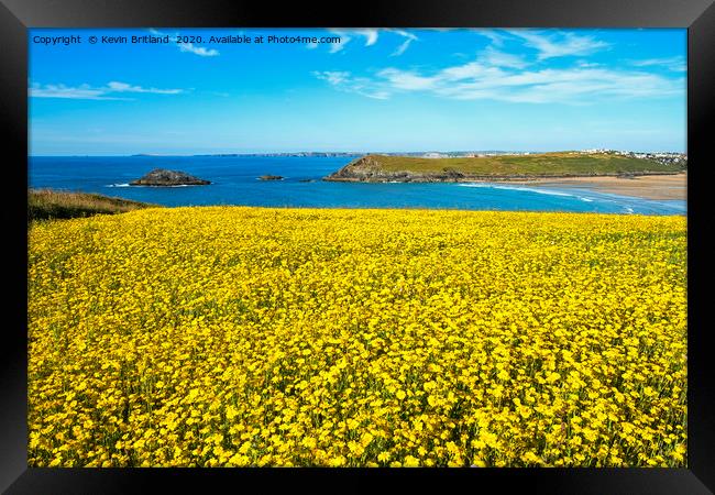 wild flowers cornwall Framed Print by Kevin Britland