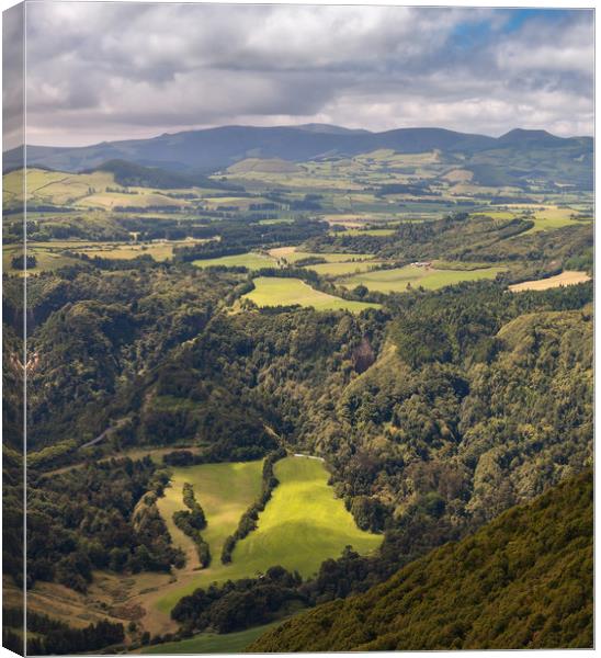 Paintely Green Landscape in Sao Miguel, Azores Isl Canvas Print by Pere Sanz