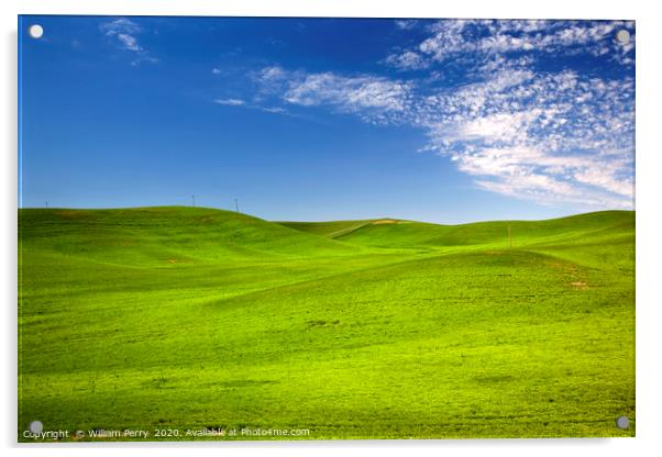 Grass Blue Skies Palouse Washington State Acrylic by William Perry