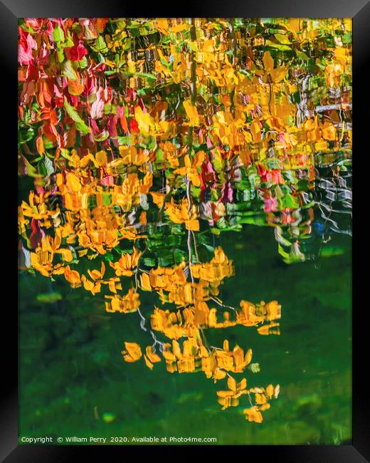 Fall Colors Reflection Wenatchee River Washington Framed Print by William Perry