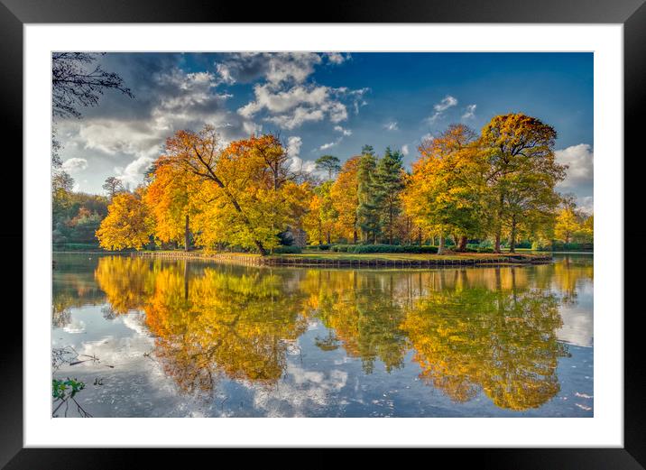 Sunny Autumn Days Framed Mounted Print by Dave Williams