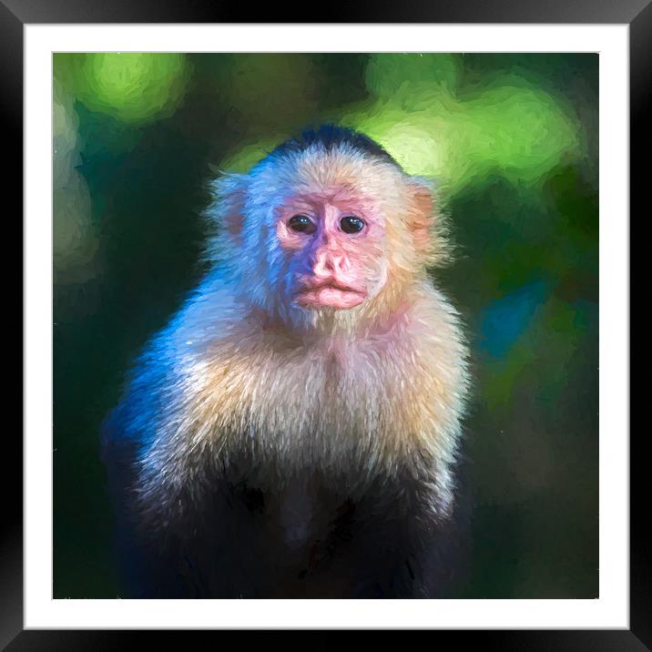 Square cropped white faced capuchin portrait Framed Mounted Print by Jason Wells
