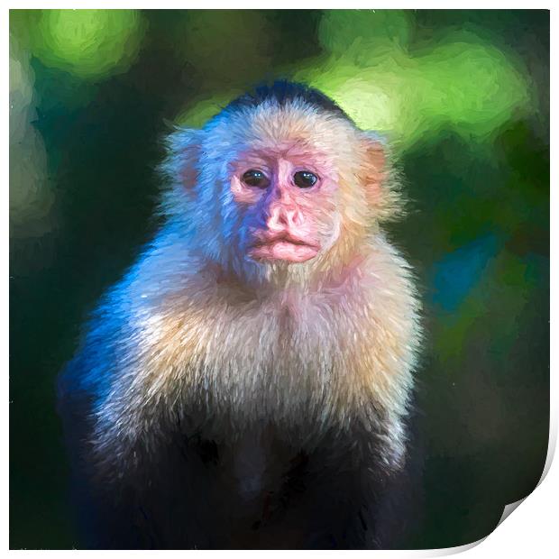 Square cropped white faced capuchin portrait Print by Jason Wells