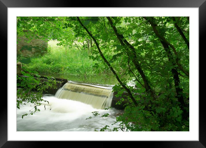TREE WATERING Framed Mounted Print by andrew saxton