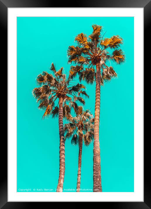 Palm Spring Trees, Summer Vibes, California Beach Framed Mounted Print by Radu Bercan