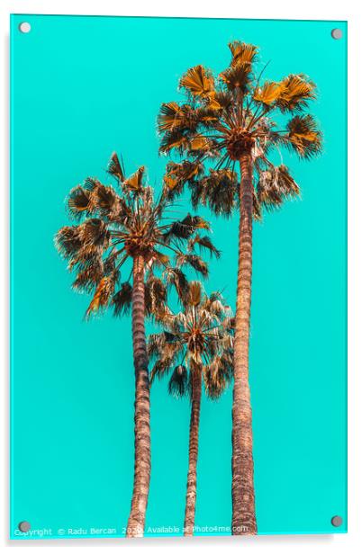 Palm Spring Trees, Summer Vibes, California Beach Acrylic by Radu Bercan